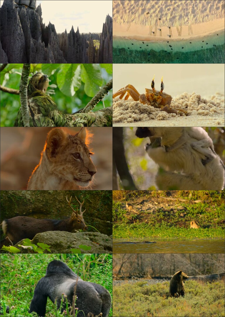 Our-Great-National-Parks-S01E01-Hindi-Eng-ESub-720p--PogoLinks-299.33-MB.jpg