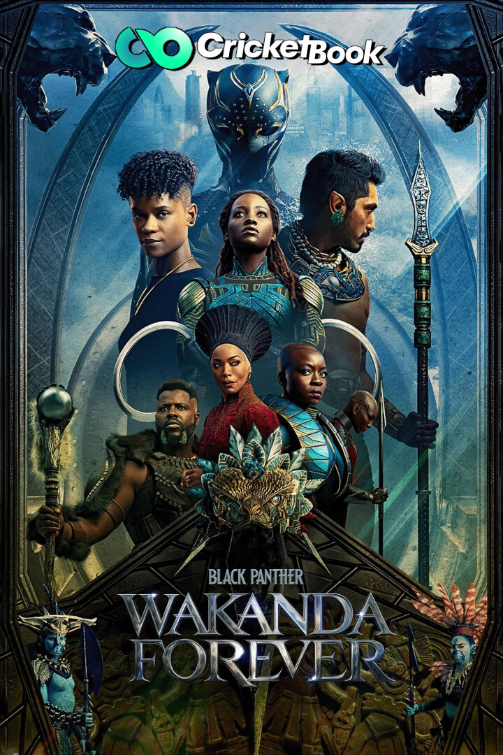 Black Panther: Wakanda Forever (2022) 1080p-720p-480p HDRip Hollywood Movie [Hindi (Cleaned)] x264